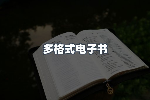 多格式电子书